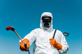 Best Lawn Pest Control  in Willow Grove, TX